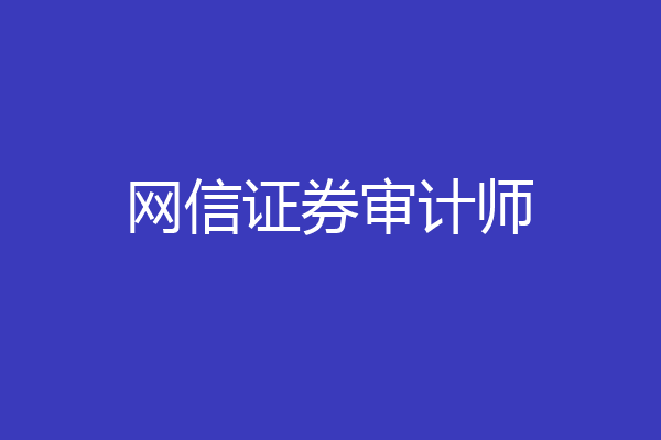 网信证券审计师