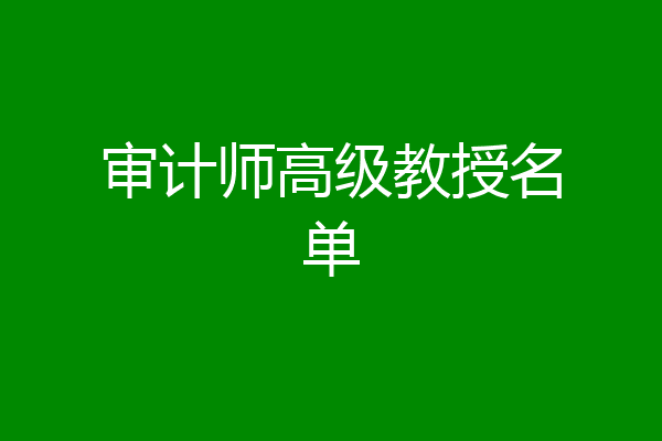 审计师高级教授名单
