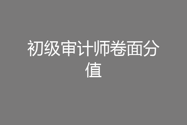 初级审计师卷面分值