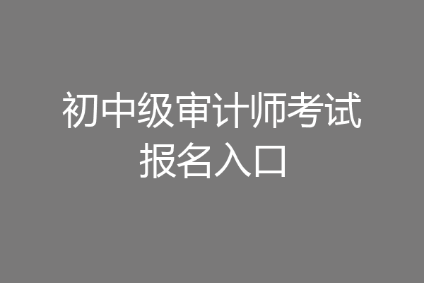 初中级审计师考试报名入口