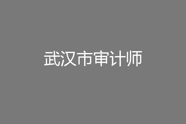 武汉市审计师
