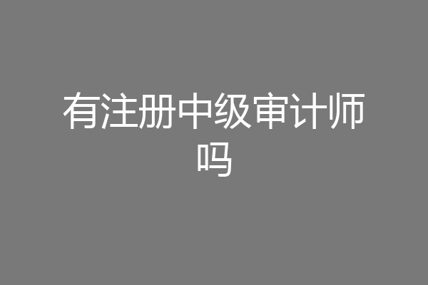 有注册中级审计师吗