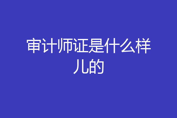 审计师证是什么样儿的