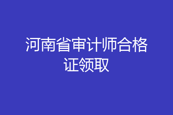 河南省审计师合格证领取