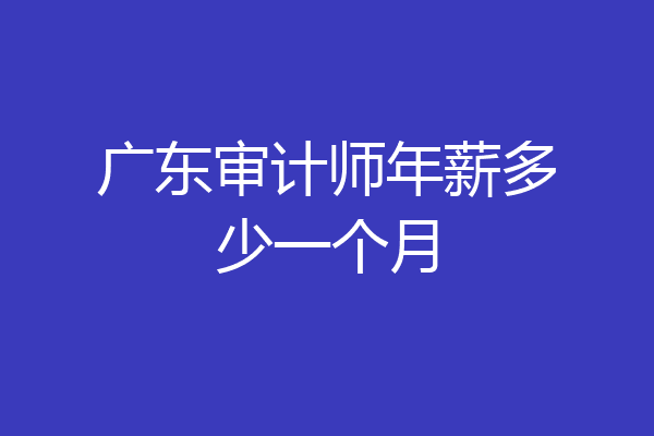 广东审计师年薪多少一个月