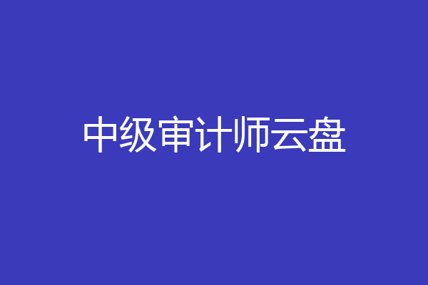 中级审计师云盘