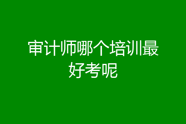 审计师哪个培训最好考呢