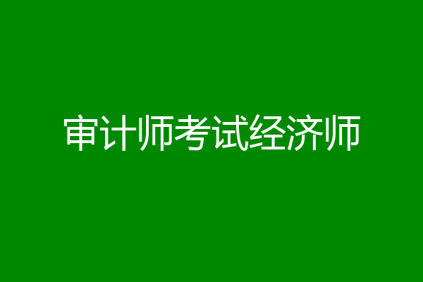 审计师考试经济师
