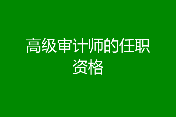 高级审计师的任职资格