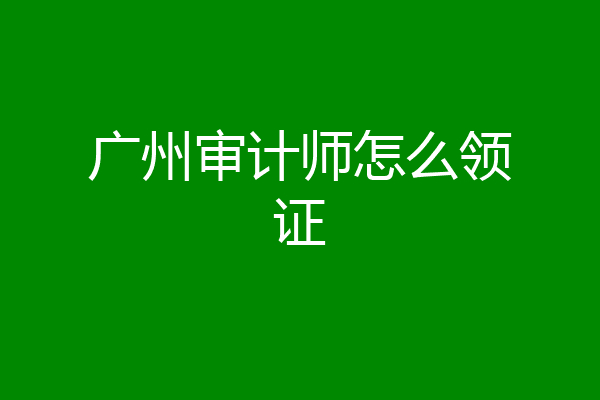 广州审计师怎么领证
