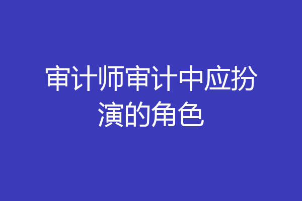 审计师审计中应扮演的角色
