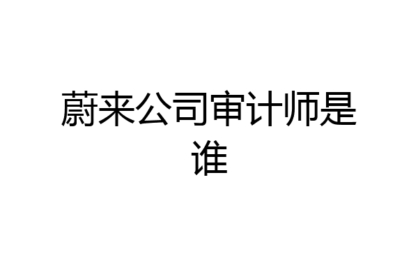 蔚来公司审计师是谁