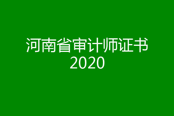 河南省审计师证书2020