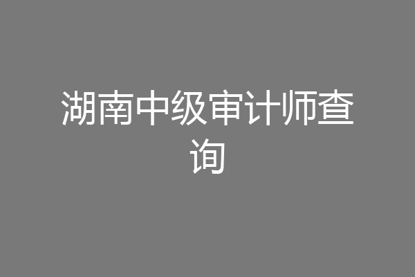 湖南中级审计师查询