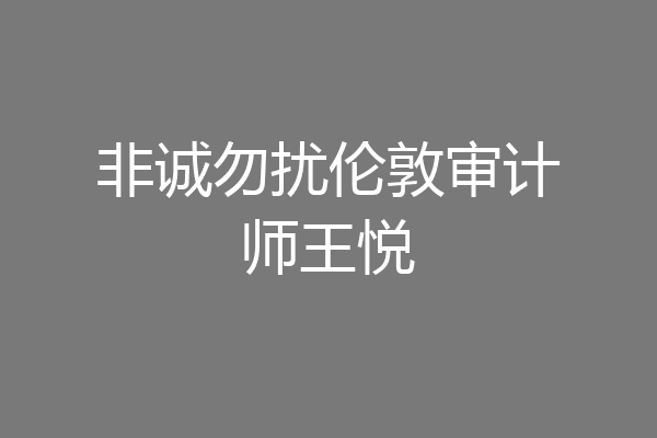 非诚勿扰伦敦审计师王悦