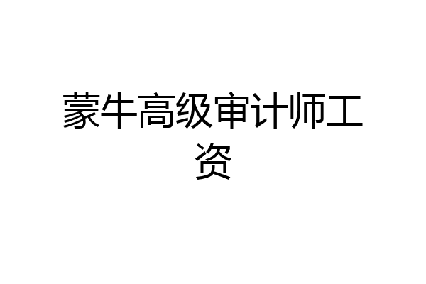 蒙牛高级审计师工资