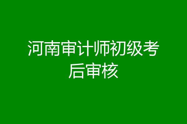 河南审计师初级考后审核