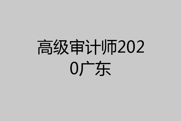 高级审计师2020广东