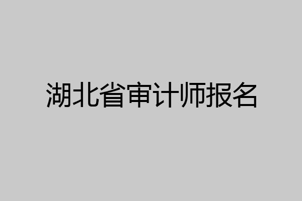 湖北省审计师报名