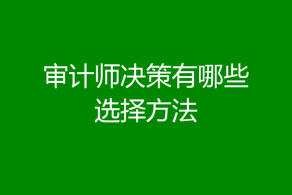 审计师决策有哪些选择方法