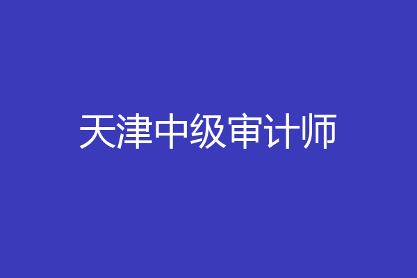 天津中级审计师