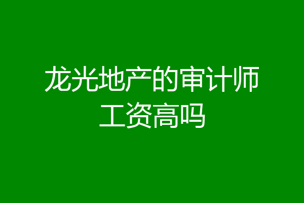 龙光地产的审计师工资高吗