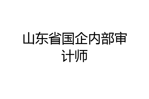 山东省国企内部审计师