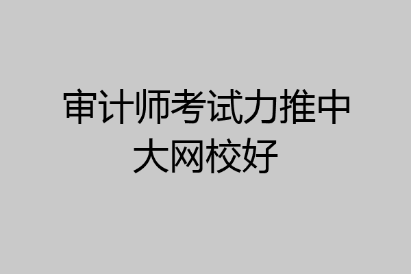 审计师考试力推中大网校好