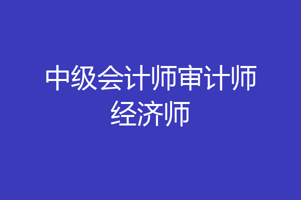 中级会计师审计师经济师