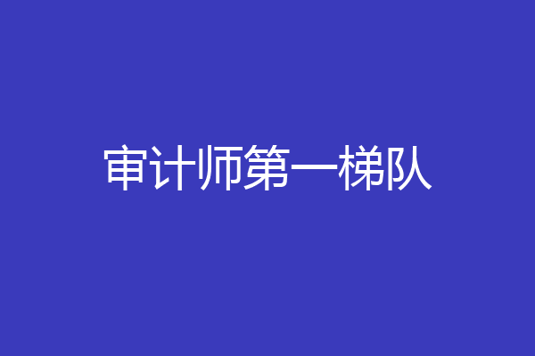 审计师第一梯队