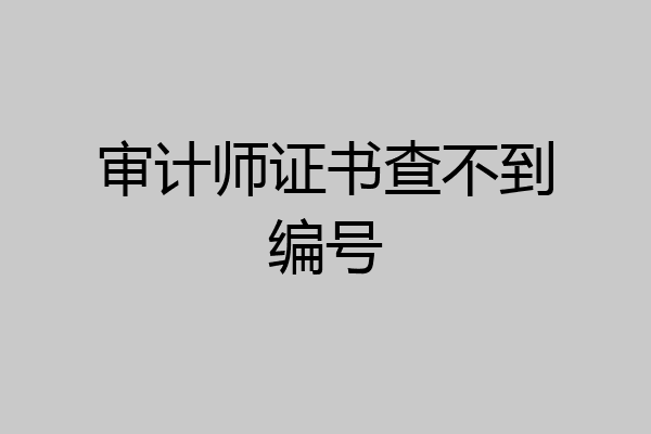 审计师证书查不到编号