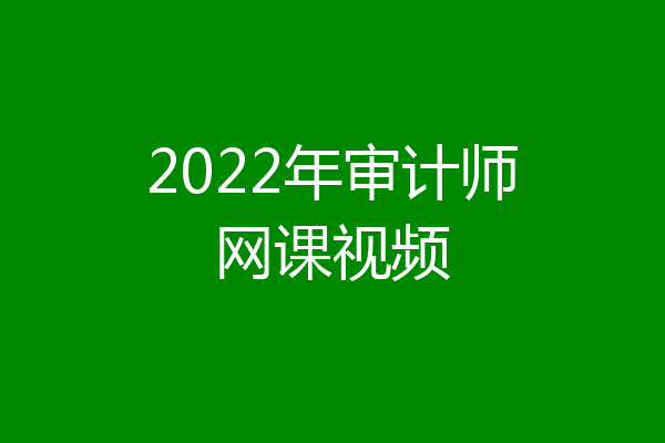 2022年审计师网课视频