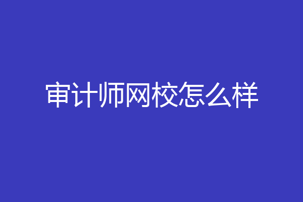 审计师网校怎么样