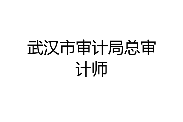 武汉市审计局总审计师