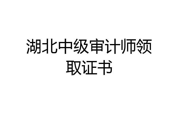 湖北中级审计师领取证书