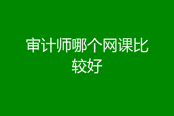 审计师哪个网课比较好
