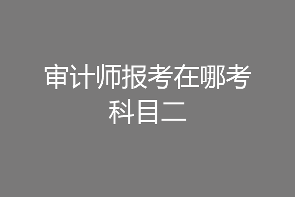 审计师报考在哪考科目二