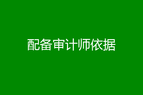 配备审计师依据
