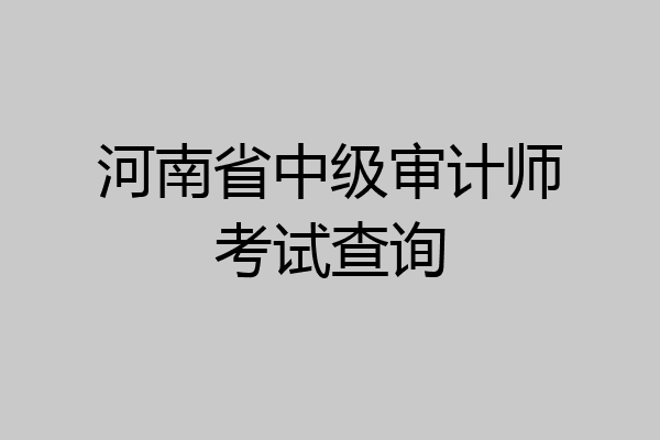 河南省中级审计师考试查询