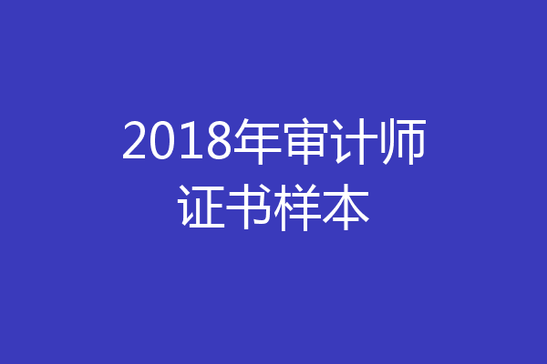 2018年审计师证书样本