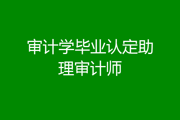 审计学毕业认定助理审计师
