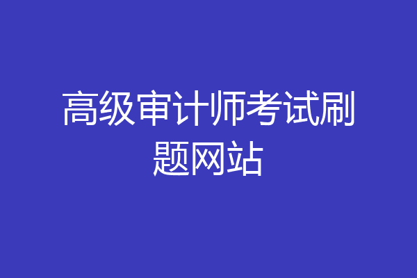高级审计师考试刷题网站