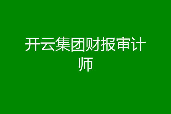 开云集团财报审计师