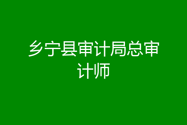 乡宁县审计局总审计师