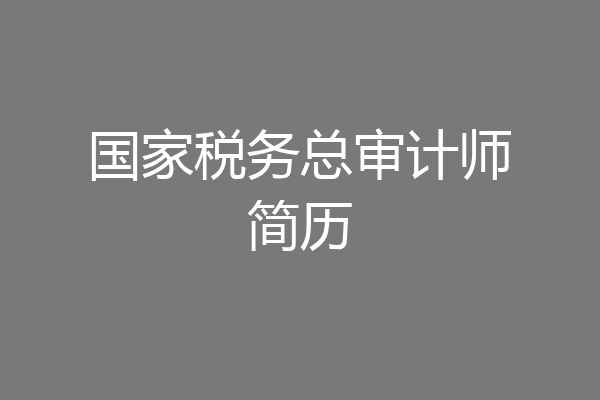 国家税务总审计师简历