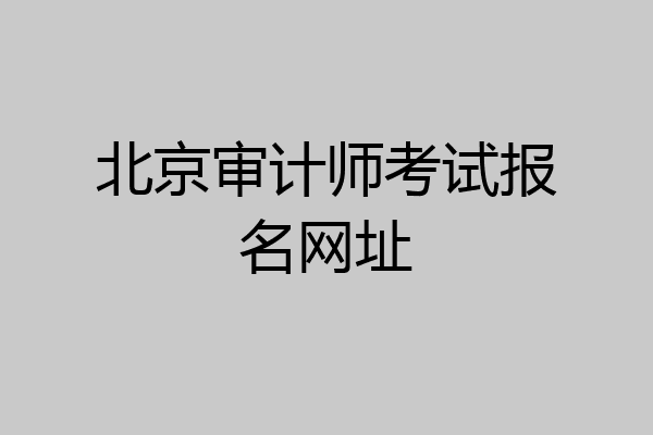 北京审计师考试报名网址