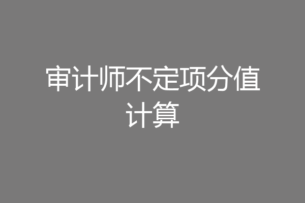 审计师不定项分值计算