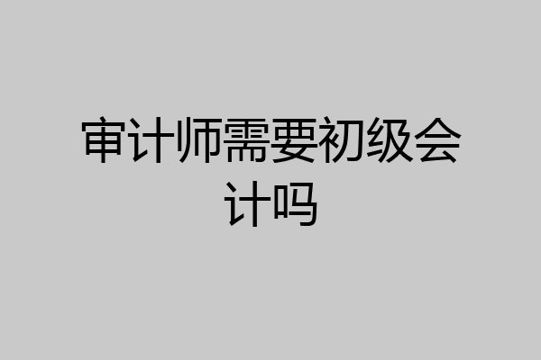 审计师需要初级会计吗