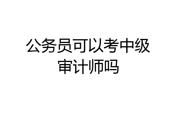 公务员可以考中级审计师吗
