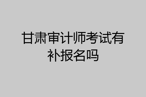 甘肃审计师考试有补报名吗